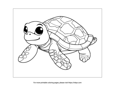 Printable Cartoon Turtle Coloring Page