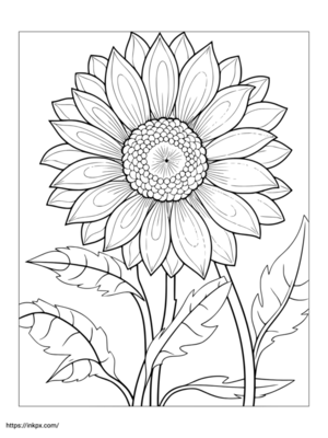 Free Printable Sunflower Coloring Page
