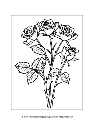 Free Printable Rose Bouquet Coloring Sheet