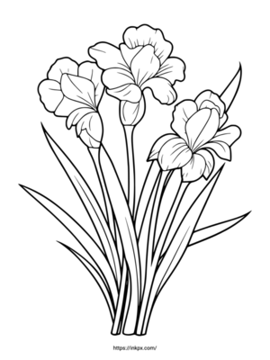 Free Printable Minimalist Iris Coloring Page