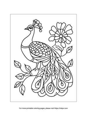 Printable Peacock & Flower Coloring Sheet