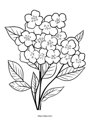 Free Printable Flower Lilac Coloring Page