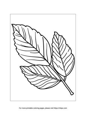Free Printable Multiple Leaves Coloring Page