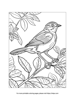 Free Printable Bird & Tree Leaves Coloring Page