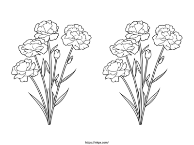 Free Printable Double Carnation Coloring Page