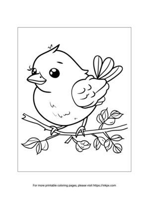 Printable Cartoon Bird Coloring Page