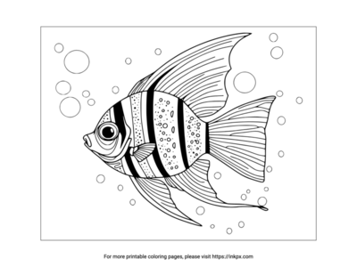 Printable Angelfish Coloring Page