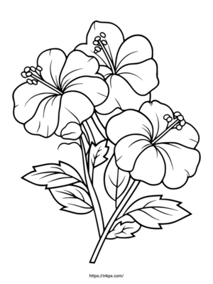 Free Printable Simple Line Art Flower Hibiscus Coloring Page