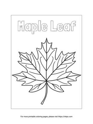 Free Printable Simple Maple Leaf Coloring Page