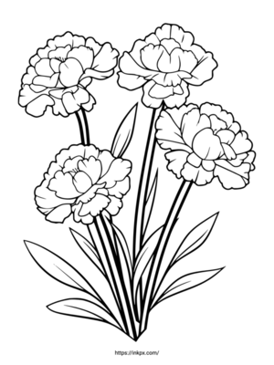Free Printable Minimalist  Carnation Coloring Page