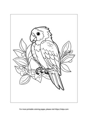 Printable Simple Parrot Coloring Sheet