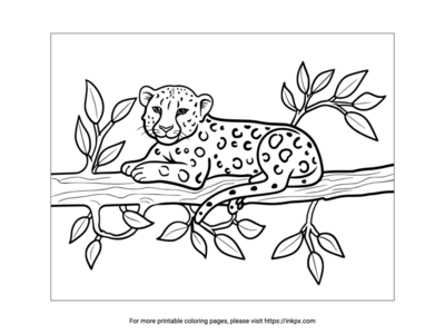 Free Printable Cheetah & Tree Branch Coloring Page