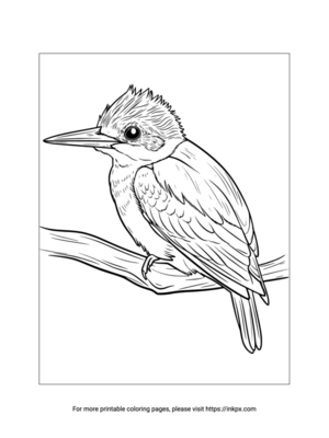 Printable Kingfisher Coloring Page