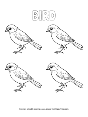 Printable Quadruple Birds Coloring Page