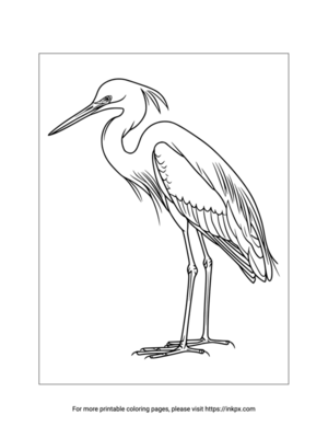 Free Printable Egret Coloring Page