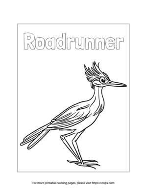 Free Printable Roadrunner Coloring Sheet