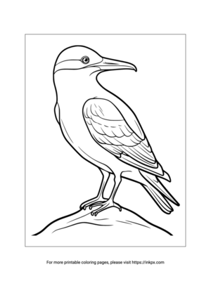 Free Printable Petrel Coloring Sheet