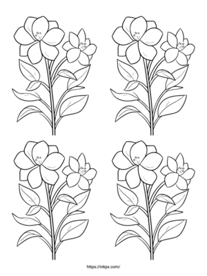 Free Printable Quadruple Common Jasmine Coloring Page