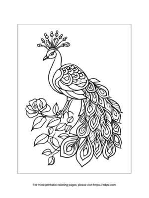 Printable Peacock & Flower Coloring Page