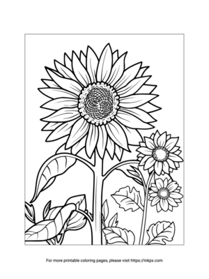 Free Printable Large Sunflower Coloring Page