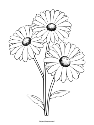 Free Printable Gerbera Coloring Page