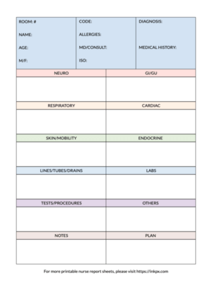 Printable Colorful Nurse Report Sheet