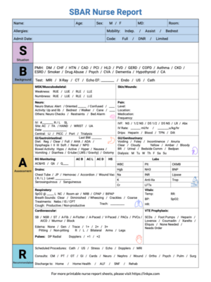 Free Printable Colorful SBAR Nurse Report Sheet