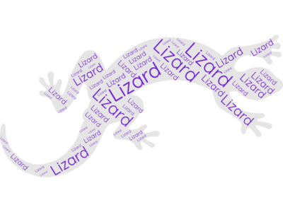 Lizard Word Cloud