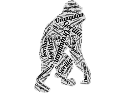 Gorilla / Chimpanzee / Orangutan Word Cloud