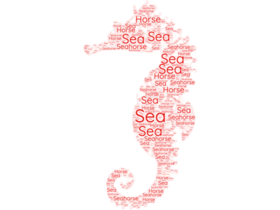Seahorse Word Cloud