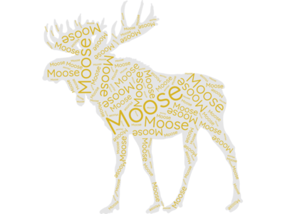 Moose Word Cloud