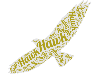 Hawk / Eagle Word Cloud