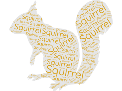Squirrel Word Cloud