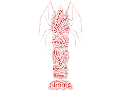 Shrimp Word Cloud
