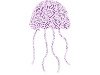 Jellyfish Word Cloud