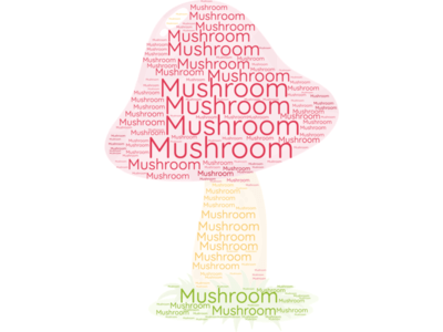 Mushroom Word Cloud